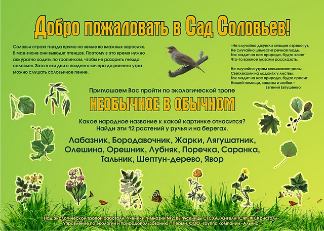 Экологическая тропа в Саду Соловьев